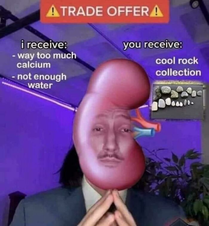 Science meme of a kidney proposing to trade excess calcium and low water for a rock collection.