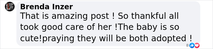User comment on a heartwarming post about a rescued dog giving birth to a large puppy, expressing gratitude and hope for adoption. User comment on a heartwarming post about a rescued dog giving birth to a large puppy, expressing gratitude and hope for adoption.
