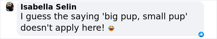 Comment about a huge singleton puppy from a rescued dog, featuring a playful emoji. Comment about a huge singleton puppy from a rescued dog, featuring a playful emoji.
