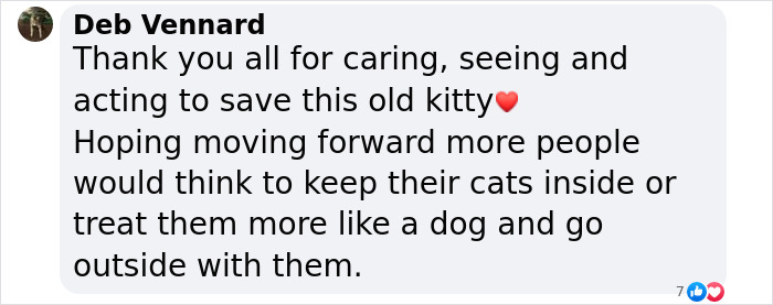 Comment from Deb Vennard thanking locals for saving a blind cat stuck on ice, urging owners to keep cats safe. Comment from Deb Vennard thanking locals for saving a blind cat stuck on ice, urging owners to keep cats safe.