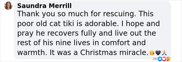 Comment praising the rescue of a 20-year-old blind cat saved from an ice chunk on a lake, calling it a Christmas miracle. Comment praising the rescue of a 20-year-old blind cat saved from an ice chunk on a lake, calling it a Christmas miracle.