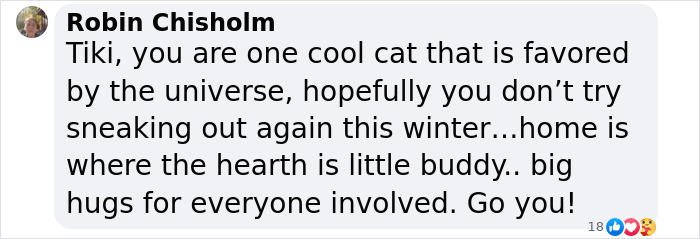 Screenshot of a comment praising a blind cat's rescue on a lake, with gratitude for the locals involved. Screenshot of a comment praising a blind cat's rescue on a lake, with gratitude for the locals involved.