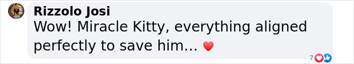 Comment expressing relief and joy about a blind cat’s rescue from an ice chunk. Comment expressing relief and joy about a blind cat’s rescue from an ice chunk.