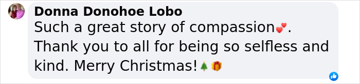 "Comment praising locals for rescuing a blind cat from ice, highlighting compassion and kindness during Christmas. "Comment praising locals for rescuing a blind cat from ice, highlighting compassion and kindness during Christmas.