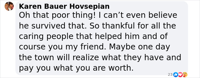 A comment expressing gratitude for rescuing a blind cat stuck on an ice chunk in a lake. A comment expressing gratitude for rescuing a blind cat stuck on an ice chunk in a lake.