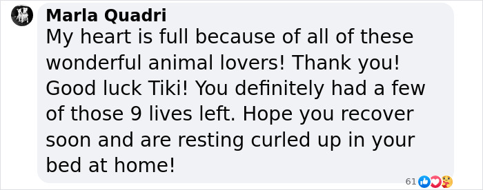 Text message from Marla Quadri praising locals who saved a 20-year-old blind cat. Text message from Marla Quadri praising locals who saved a 20-year-old blind cat.