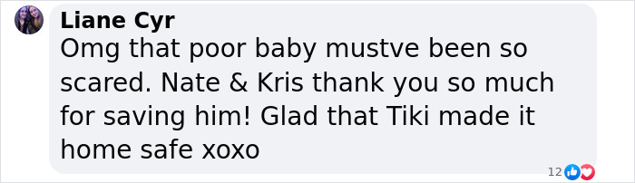 Facebook comment expressing relief and gratitude for locals saving a blind cat stuck on ice. Facebook comment expressing relief and gratitude for locals saving a blind cat stuck on ice.