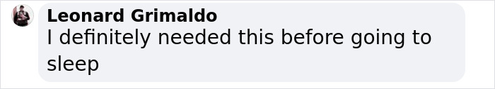 Comment by Leonard Grimaldo expressing appreciation before bedtime. Comment by Leonard Grimaldo expressing appreciation before bedtime.