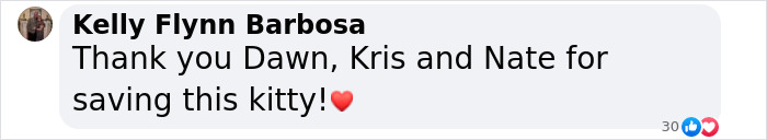 Social media comment expressing gratitude for saving a blind cat. Social media comment expressing gratitude for saving a blind cat.