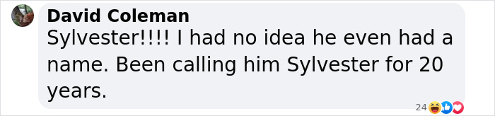 Facebook comment about a 20-year-old blind cat known as Sylvester. Facebook comment about a 20-year-old blind cat known as Sylvester.
