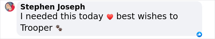 Comment wishing Trooper the dog well with heart and paw emojis. Comment wishing Trooper the dog well with heart and paw emojis.