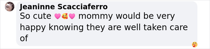 These Baby Opossums Lost Their Mom, But The Rescue Team Found A Beautiful Way To Comfort Them These Baby Opossums Lost Their Mom, But The Rescue Team Found A Beautiful Way To Comfort Them