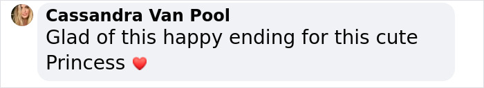 User comment celebrating a once desperate shelter dog's happy ending. User comment celebrating a once desperate shelter dog's happy ending.