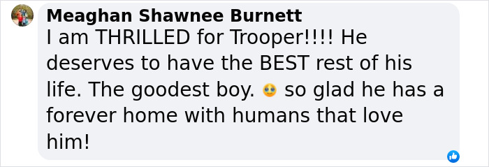 Comment about Trooper, the dog, finding a loving forever home after being tied up during Hurricane Milton. Comment about Trooper, the dog, finding a loving forever home after being tied up during Hurricane Milton.