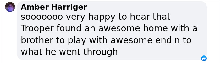 Text from Amber Harriger expressing joy that Trooper, a dog, has found a loving home. Text from Amber Harriger expressing joy that Trooper, a dog, has found a loving home.