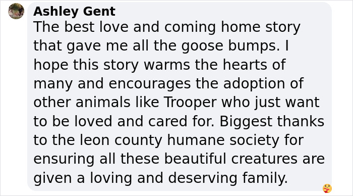 Comment praising Trooper's adoption and thanking the Leon County Humane Society for their efforts. Comment praising Trooper's adoption and thanking the Leon County Humane Society for their efforts.