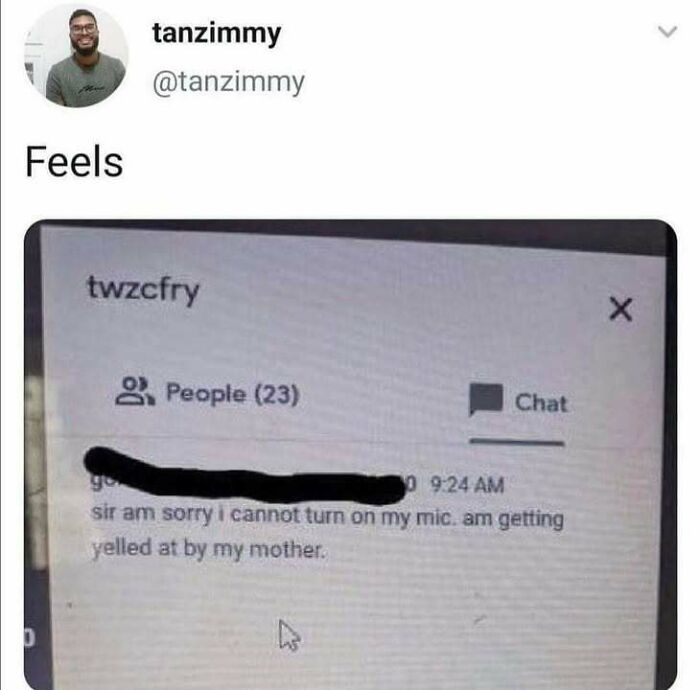 Relatable science meme showing a humorous chat message where a student apologizes for not turning on their mic due to being yelled at by their mom.