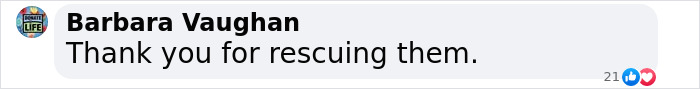 Barbara Vaughan's thankful comment about the rescue, expressing gratitude for saving them. Barbara Vaughan's thankful comment about the rescue, expressing gratitude for saving them.