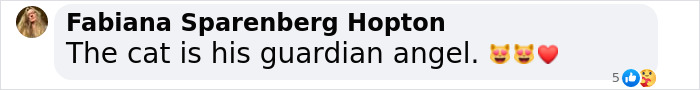 Screenshot of a comment reading "The cat is his guardian angel" with cat and heart emojis. Screenshot of a comment reading "The cat is his guardian angel" with cat and heart emojis.