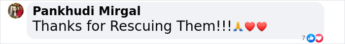 "Comment appreciating rescue efforts with heart and prayer emojis. "Comment appreciating rescue efforts with heart and prayer emojis.