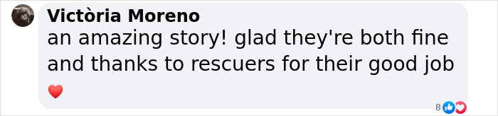 Comment expressing relief and gratitude for the survival of a man and kitten in a mountain ravine. Comment expressing relief and gratitude for the survival of a man and kitten in a mountain ravine.