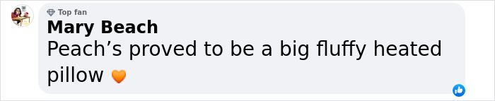 Facebook comment from Mary Beach saying, "Peach's proved to be a big fluffy heated pillow," with an orange heart emoji. Facebook comment from Mary Beach saying, "Peach's proved to be a big fluffy heated pillow," with an orange heart emoji.