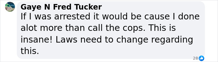 User comment on a squatter arrest, expressing frustration about the legal system. User comment on a squatter arrest, expressing frustration about the legal system.