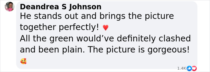 Comment praising son's unique pyjamas in Christmas family photo amid controversy. Comment praising son's unique pyjamas in Christmas family photo amid controversy.