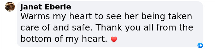 Comment expressing joy for a once desperate shelter dog now safe and loved. Comment expressing joy for a once desperate shelter dog now safe and loved.