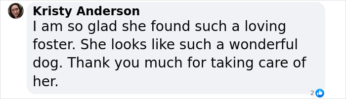 Kristy Anderson expressing joy over a once desperate shelter dog finding a loving foster home. Kristy Anderson expressing joy over a once desperate shelter dog finding a loving foster home.