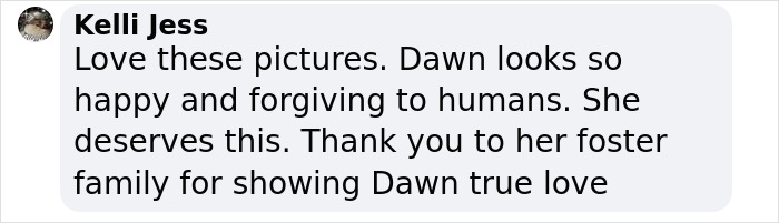 Netizens express joy seeing a once desperate shelter dog finally safe and loved. Netizens express joy seeing a once desperate shelter dog finally safe and loved.