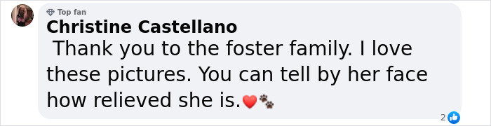 Comment praising the foster family for making a shelter dog feel safe and loved. Comment praising the foster family for making a shelter dog feel safe and loved.