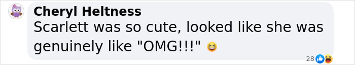 Comment about Colin Jost reading jokes on Scarlett Johansson, with reactions described as "OMG!" and laughing emoji. Comment about Colin Jost reading jokes on Scarlett Johansson, with reactions described as "OMG!" and laughing emoji.