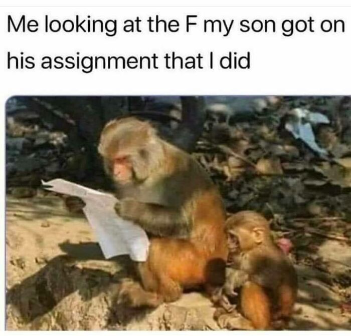 Monkey humor meme: adult monkey reading a paper, young monkey sitting beside, illustrating relatable science parenting humor.