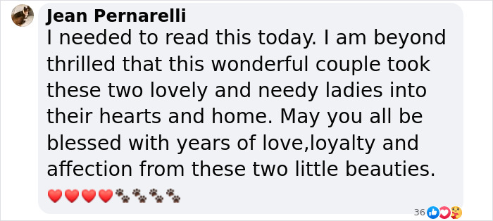 Comment praising the bond between two different dogs adopted from a shelter, with heart and paw emojis. Comment praising the bond between two different dogs adopted from a shelter, with heart and paw emojis.