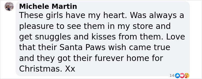 Comment expressing joy about two sheltered dogs finding a loving home for Christmas. Comment expressing joy about two sheltered dogs finding a loving home for Christmas.