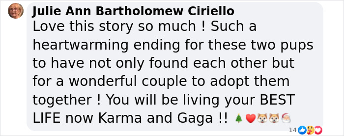 A Facebook comment expressing joy over two shelter dogs forming a beautiful bond and being adopted together. A Facebook comment expressing joy over two shelter dogs forming a beautiful bond and being adopted together.