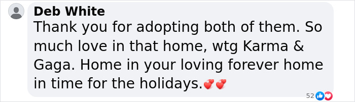 Comment thanking for adopting dogs, celebrating their bond. Comment thanking for adopting dogs, celebrating their bond.