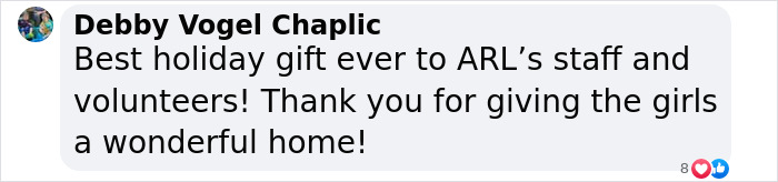 A comment praising ARL staff and volunteers for providing a wonderful home to shelter dogs. A comment praising ARL staff and volunteers for providing a wonderful home to shelter dogs.