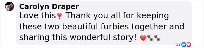 Text saying, "Love this! Thank you for keeping these two beautiful furbies together and sharing this wonderful story! ❤️🐾 Text saying, "Love this! Thank you for keeping these two beautiful furbies together and sharing this wonderful story! ❤️🐾