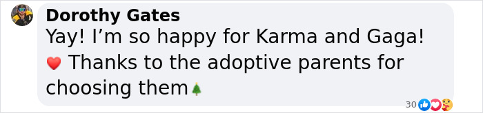 Comment celebrating the adoption of two different dogs and thanking the adoptive parents. Comment celebrating the adoption of two different dogs and thanking the adoptive parents.