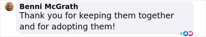 Comment from Benni McGrath expressing gratitude for adopting and keeping two shelter dogs together. Comment from Benni McGrath expressing gratitude for adopting and keeping two shelter dogs together.