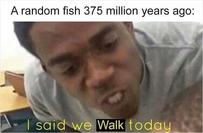 A humorous science meme showing an intense face with the caption about a fish deciding to walk 375 million years ago.