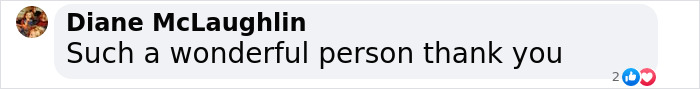 "Diane McLaughlin's comment praising a woman for nursing an abandoned baby horse back to health. "Diane McLaughlin's comment praising a woman for nursing an abandoned baby horse back to health.