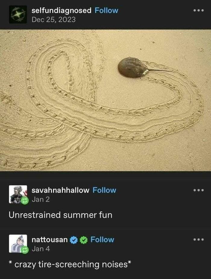 Horseshoe crab trail in sand humorously captioned with relatable science memes.