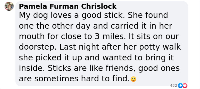 Dog owner's post about her pet's love for sticks, highlighting the viral stick library idea for dogs. Dog owner's post about her pet's love for sticks, highlighting the viral stick library idea for dogs.