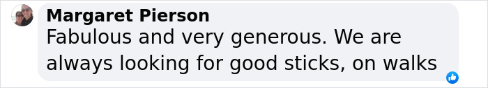 Comment praising the viral stick library idea for dogs, expressing appreciation for the availability of good sticks on walks. Comment praising the viral stick library idea for dogs, expressing appreciation for the availability of good sticks on walks.