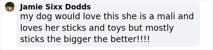 Comment expressing enthusiasm for a brilliant stick library idea for dogs. Comment expressing enthusiasm for a brilliant stick library idea for dogs.