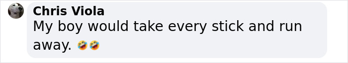 Chris Viola's comment about a dog's stick library idea going viral, with laughing emojis. Chris Viola's comment about a dog's stick library idea going viral, with laughing emojis.