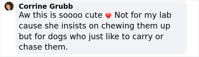 Social media comment about a dog's stick library, highlighting its appeal for dogs who like to carry or chase sticks. Social media comment about a dog's stick library, highlighting its appeal for dogs who like to carry or chase sticks.